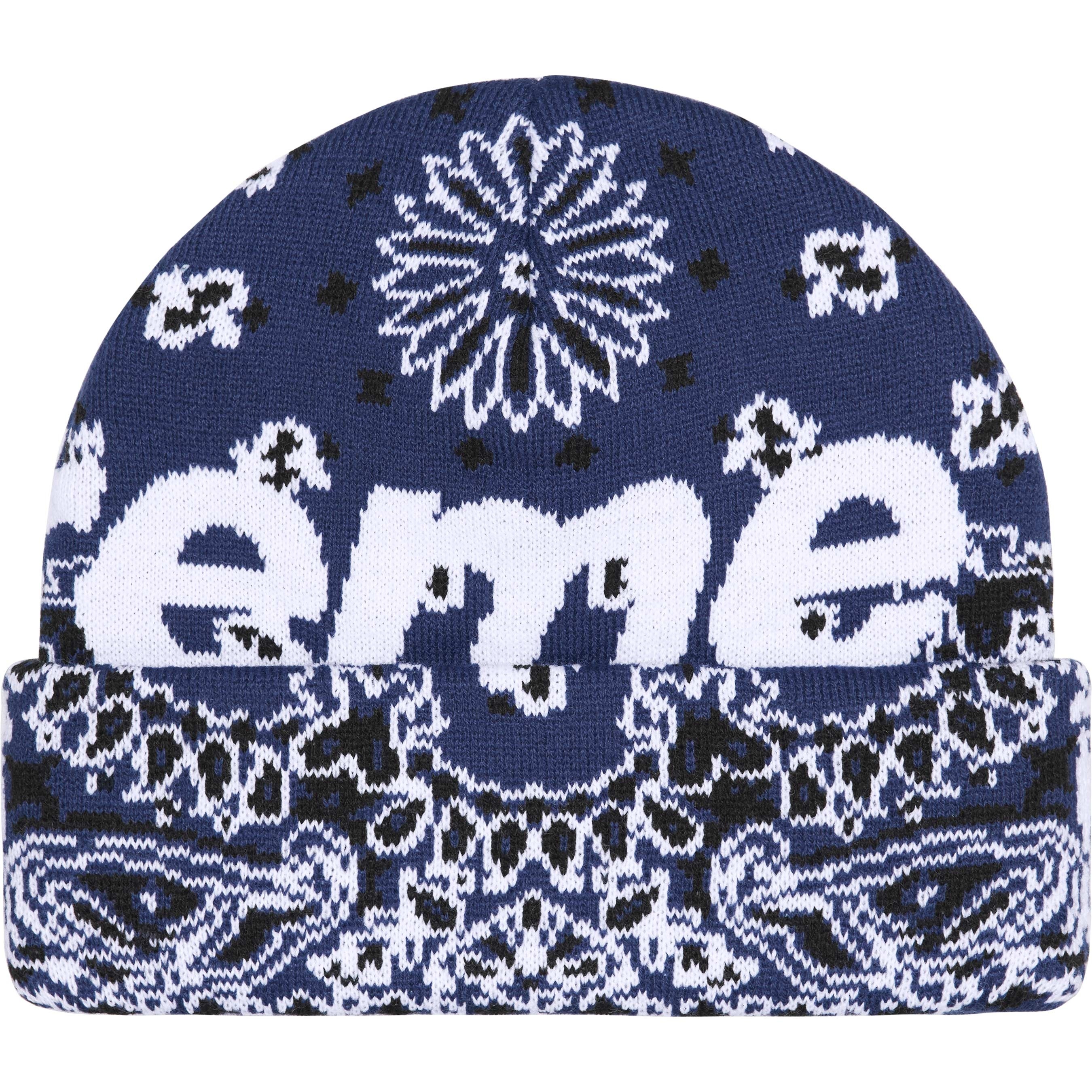 Big Logo Beanie view 14